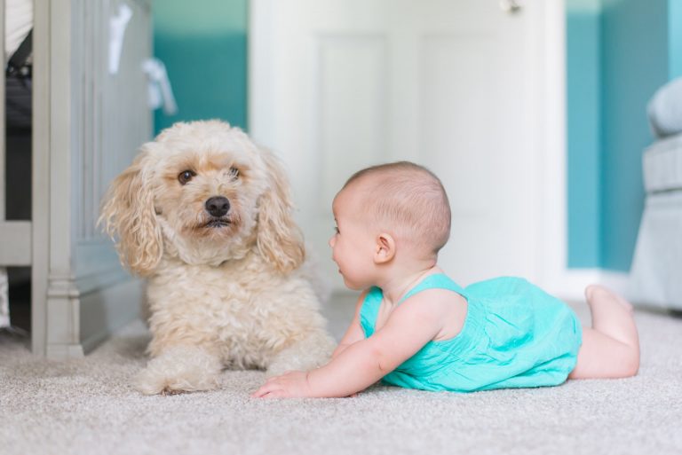 baby carpet cleaning